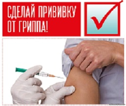 Стартует вакцинальная кампания против гриппа Стартует вакцинальная кампания против гриппа