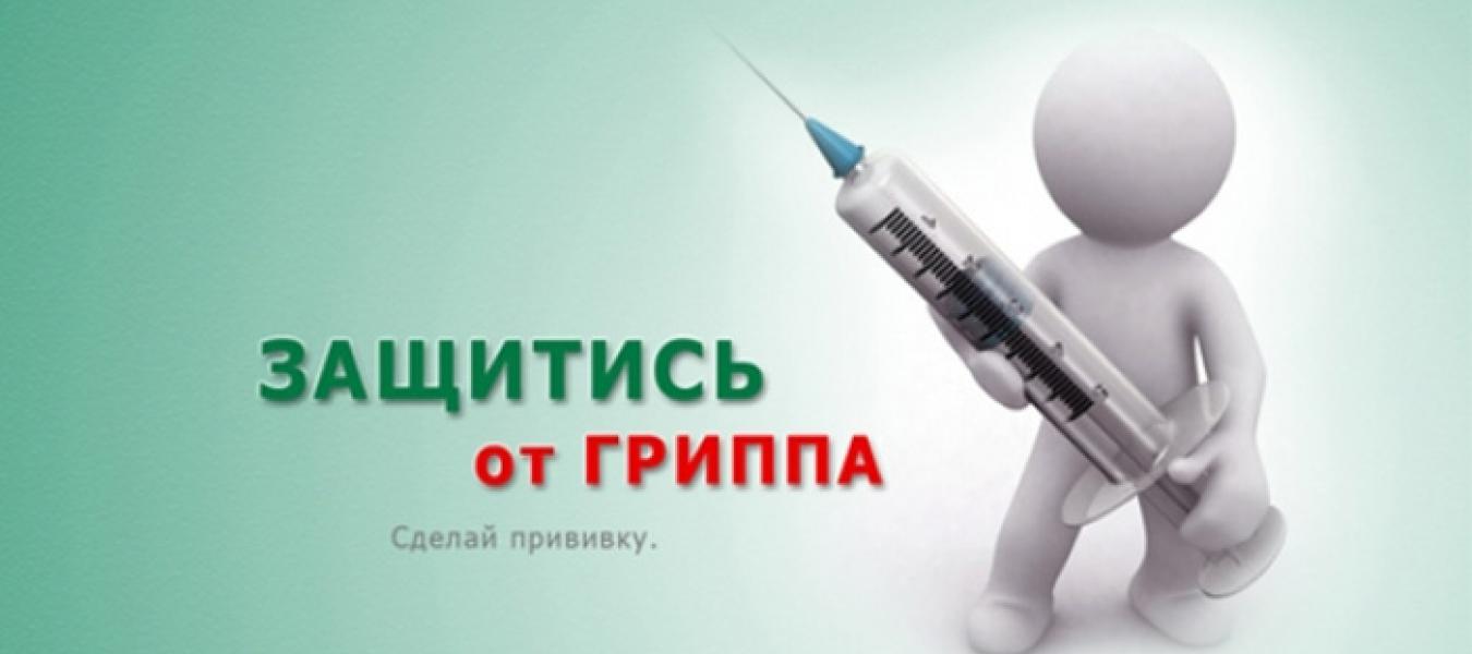 В Нижегородской области стартовала прививочная компания против гриппа В Нижегородской области стартовала прививочная компания против гриппа