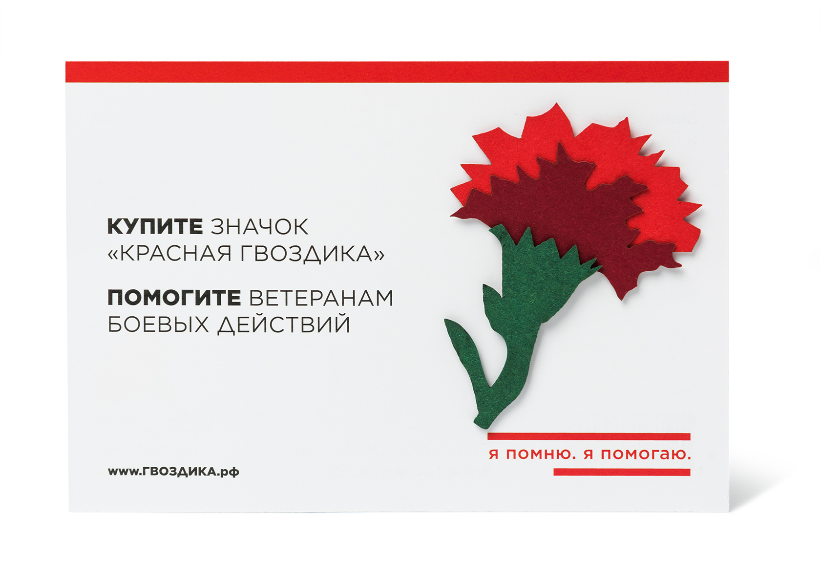 Федеральная Акция "Красная гвоздика" Федеральная Акция "Красная гвоздика"