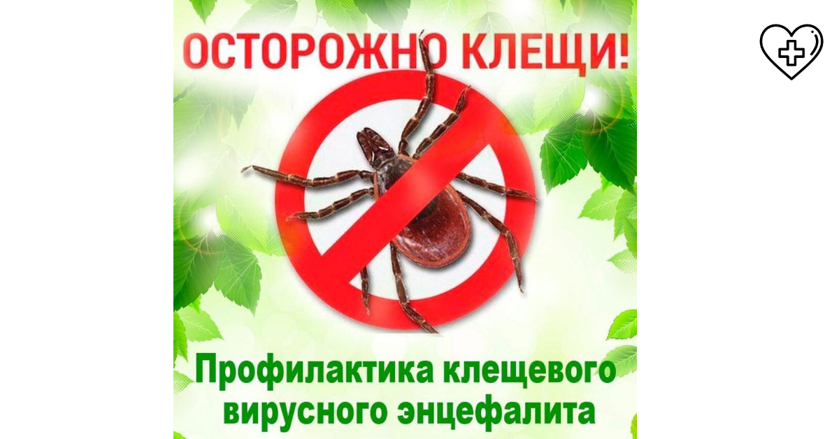 Нижегородские медики рекомендуют соблюдать меры предосторожности при прогулках на природе в период активности клещей Нижегородские медики рекомендуют соблюдать меры предосторожности при прогулках на природе в период активности клещей